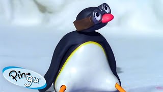 Mischievous Pingu 🐧  Pingu  Official Channel  Cartoons For Kids [upl. by Finbar773]