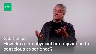 Hard Problem of Consciousness — David Chalmers [upl. by Naihr]