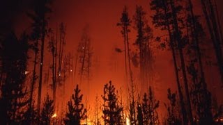 The Story Behind the Yellowstone Fires of 1988  Retro Report  The New York Times [upl. by Lissie]