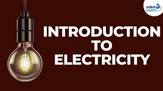 Introduction to Electricity  Dont Memorise [upl. by Shulock354]