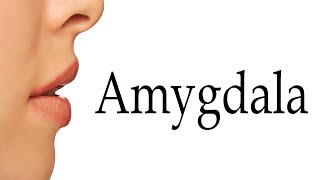 How To Say Amygdala [upl. by Mariana589]