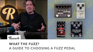 What the Fuzz A Guide to Choosing a Fuzz Pedal  Tone Report Demo [upl. by Eigla]