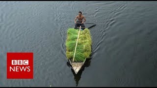 The Floating Farms of Bangladesh  BBC News [upl. by Yaluz]