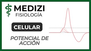 Clase 5 Fisiología  Potencial de acción IGdoctorpaiva [upl. by Klingel]