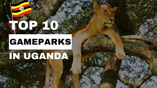 Top 10 game parks to visit in Uganda [upl. by Barbra]