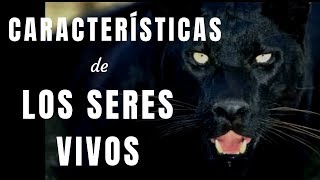 CARACTERÍSTICAS DE LOS SERES VIVOS [upl. by Yuu]