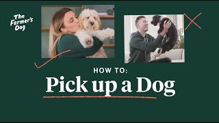 How To Pick Up A Dog [upl. by Essiralc]