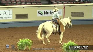 A Judges Perspective 2017 AQHYA Ranch Riding World Champion [upl. by Akierdna954]