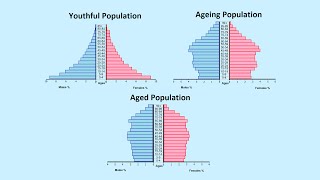 How to Read a Population Pyramid [upl. by Gaut]