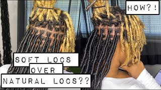 Soft Locs over Natural Locs  Beginner Friendly  Best Tutorial  Extended Soft Locs [upl. by Ardnak]