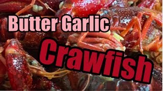 How to Boil Crawfish  Cajun Butter Garlic Crawfish recipe [upl. by Niotna372]