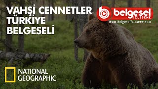 Vahşi Cennetler Türkiye Belgeseli  Türkçe Dublaj [upl. by Ecissej]