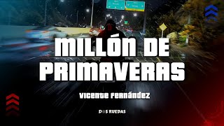 Vicente Fernández  Millón De Primaveras LetraLyrics [upl. by Llemmart]