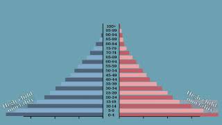 Population pyramid [upl. by Asirram818]