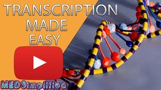 Transcription Made Easy From DNA to RNA 2019 [upl. by Nhabois]