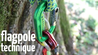 Climbing system repositioning  Arborist climbing techniques [upl. by Hurless]