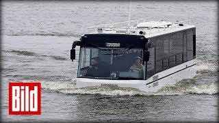 HafenCity Riverbus  Stadtkreuzfahrt im AmphibienBus [upl. by Llemar]