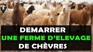 Voici 8 Etapes pour commencer une ferme délevage de chèvre à succès en Afrique [upl. by Annoerb]