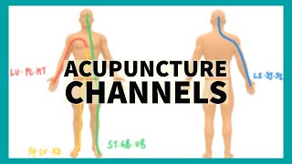 TCM Anatomy System of Acupuncture Channels [upl. by Krissie574]