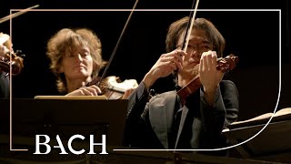 Bach  Orchestral Suite no 1 in C major BWV 1066  Sato  Netherlands Bach Society [upl. by Nylirek156]