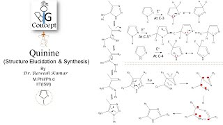 Quinine Structure Elucidation amp Synthesisthebigconceptpgtopics6291 [upl. by Karlotta737]