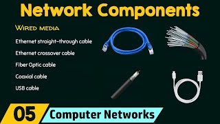 Components of a Computer Network [upl. by Sarena126]