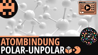 Atombindung Polar und unpolar │Chemie Lernvideo│Learning Level Up [upl. by Bloch]