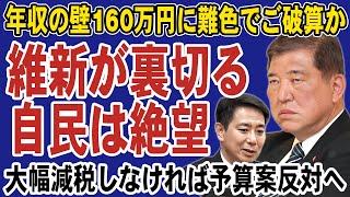 日本維新の会が自民党・公明党を裏切り予算不成立か！年収の壁を160万円に引き上げる与党案に難色を示す。国民民主案の178万円が実現するか… [upl. by Haym]