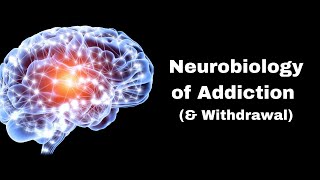 Neurobiology of Addiction  Quickstart Guide [upl. by Adar]