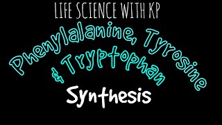 PHENYLALANINE TYROSINE amp TRYPTOPHAN SynthesisVlog 10 [upl. by Braasch]