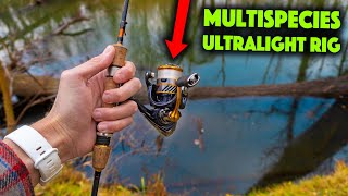 All Ultralight Anglers NEED To Use This Rig [upl. by Damaris634]