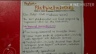 Phylum platyhelminthes characters and classification explain [upl. by Haya]