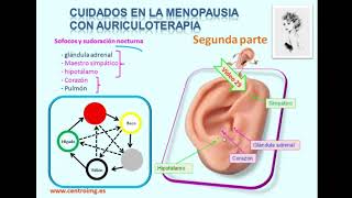 71 Auriculoterapia puntos para la menopausia Segunda parte Curso de auriculoterapia Centro IMG [upl. by Darrow960]