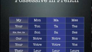 French Possessive Adjectives [upl. by Aneetak815]