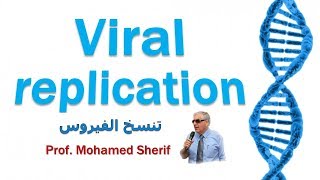 Viral replication  تزايد الفيروسات [upl. by Kania402]