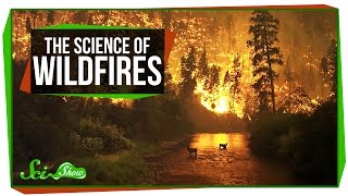 The Science of Wildfires [upl. by Wallraff]