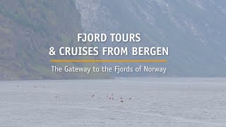 Fjord tours amp cruises in Bergen Norway [upl. by Aihsek]