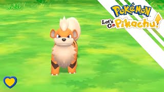 HOW TO GET Growlithe in Pokémon Lets Go Pikachu version exclusive [upl. by Gaby58]