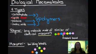 Macromolecules [upl. by Noffets]