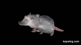 Rats Birthday Mixtape 10 hour version [upl. by Chi714]