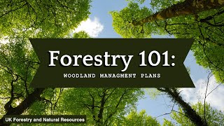 Forestry 101 Woodland Management Plans [upl. by Longwood]