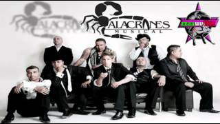 El Sinaloense  Alacranes Musical Duranguense™ [upl. by Lorna175]