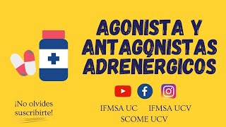 AGONISTAS Y ANTAGONISTAS ADRENÉRGICOS [upl. by Einavoj]