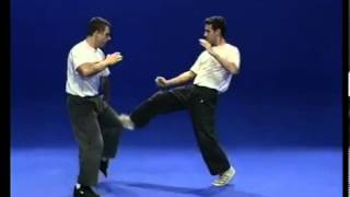 Tutorial Krav Maga Techniques [upl. by Arac]