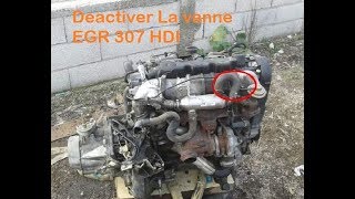 Déactiver la vanne EGR 307 [upl. by Rhoda256]