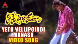 Na Manasune Video Song  Manmadhudu Movie  Nagarjuna Sonali Bendre Anshu [upl. by Jueta]