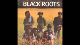 Black Roots  Black Roots full album [upl. by Carothers]