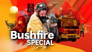 Bushfire Special  Behind the News [upl. by Ensoll35]