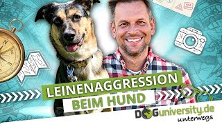 LEINENAGGRESSION beim Hund ► Ursachen und wie du sie behebst  DOGUNIVERSITY UNTERWEGS [upl. by Ezzo]