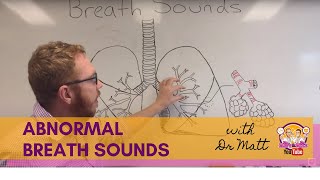 Abnormal Breath Sounds  Respiratory System [upl. by Ajax]